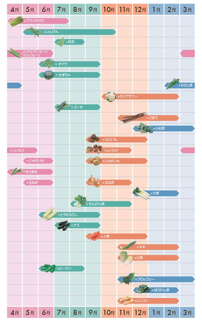旬の野菜カレンダー